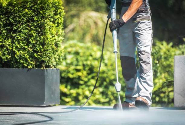 Best Driveway Pressure Washing  in Lincolnia, VA